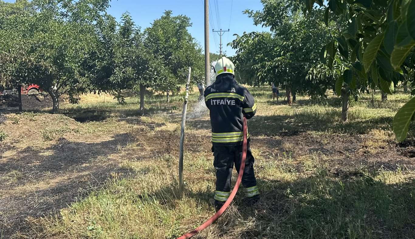    Elektrik tellerine çarpan kuş yangın çıkardı haberi